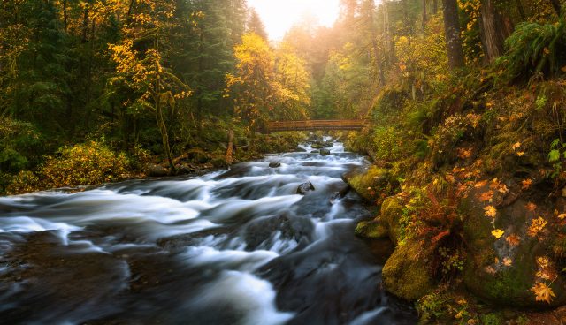 Podzimní poezie (Oregon, USA)