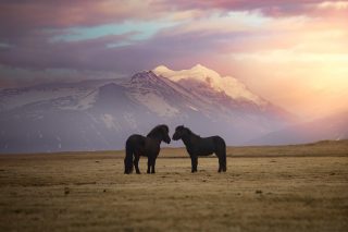 Islandské romance (Vatnajökull, Island)